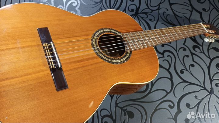 Классическая испанская гитара (кедр/массив)