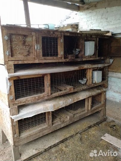 Клетка для кролика