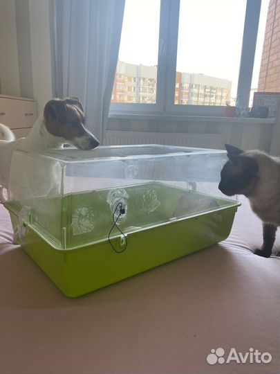 Клетка, домик, лоток