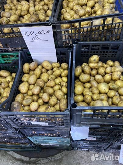 Продукты питания