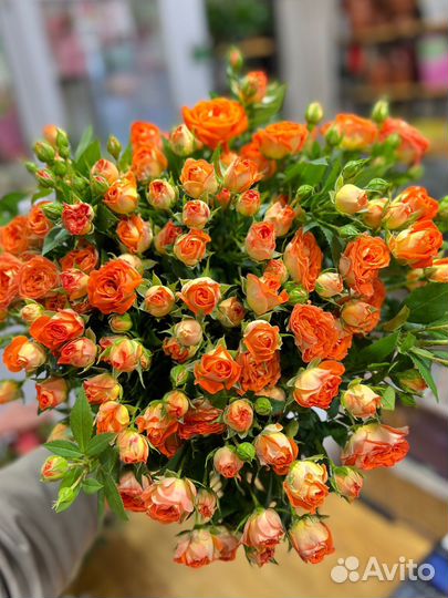 Розы цветы с доставкой