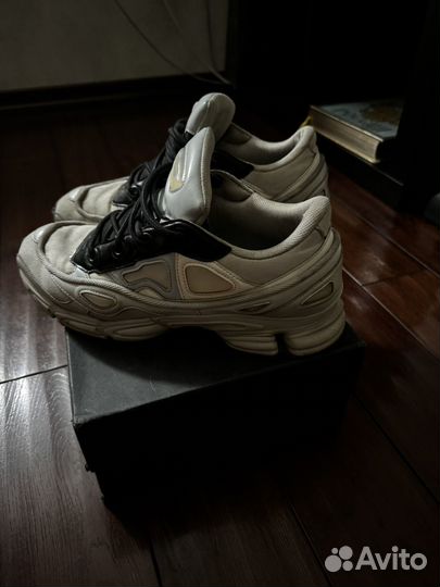 Raf simons ozweego 3 Оригинал