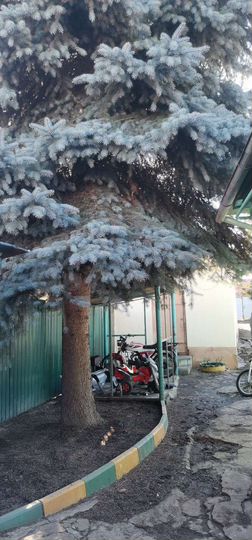 Дом 57 м² на участке 8,3 сот.