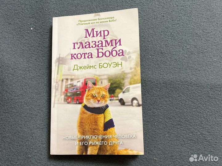 Мир глазами кота боба