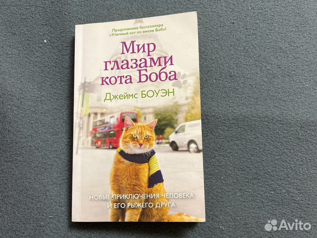 Мир глазами кота боба