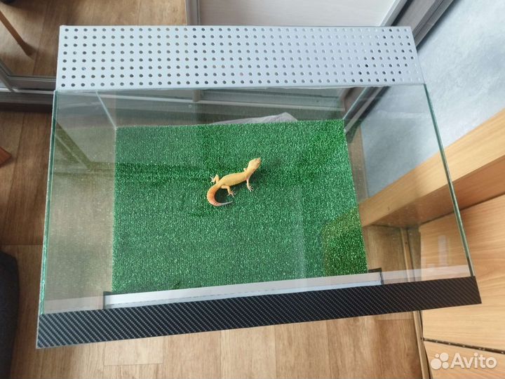 Террариум для рептилий Новый