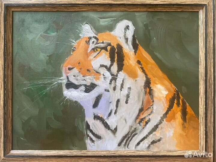 Картина Тигр. Масло 46см х 36см