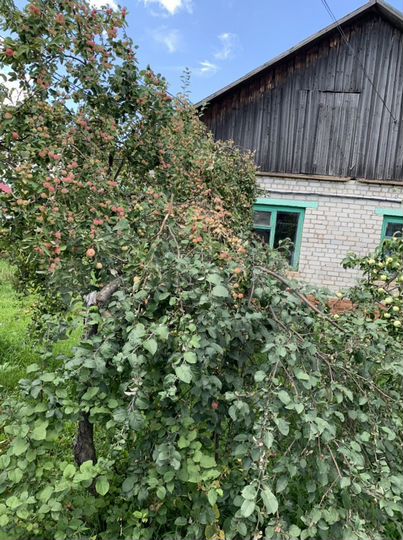 Дом 53,8 м² на участке 20,1 сот.