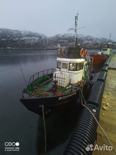 Морская рыбалка териберка