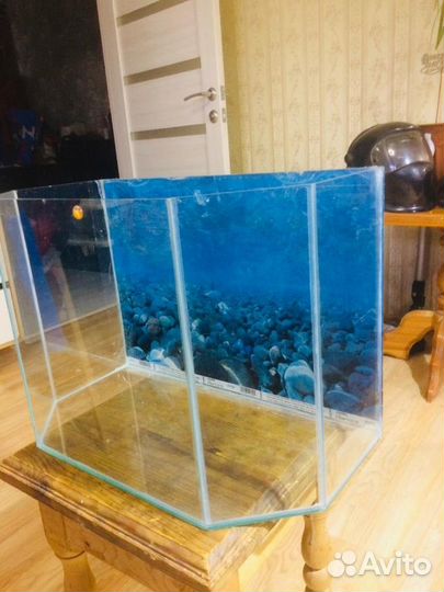 Аквариум
