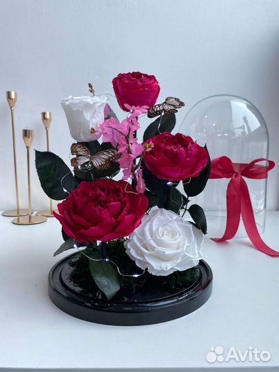 Подарок девушке на день рождения