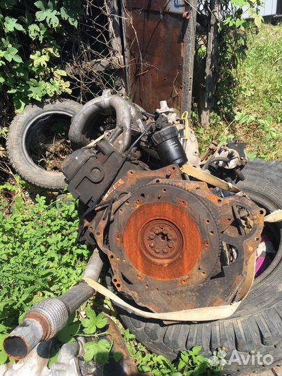 Двигатель ford transit 2.4 diesel