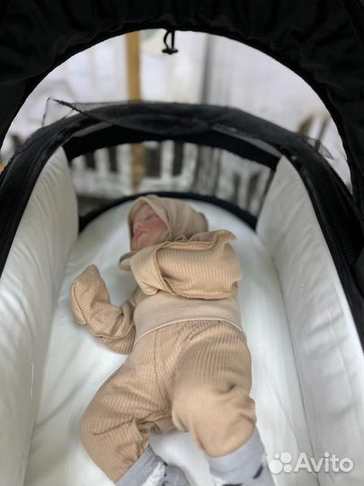 Коляска 2 в 1 Rant Flex Pro черный