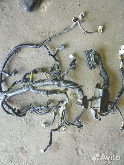Электропроводка двигателя Mazda 3 Bm 1.5 120 2013