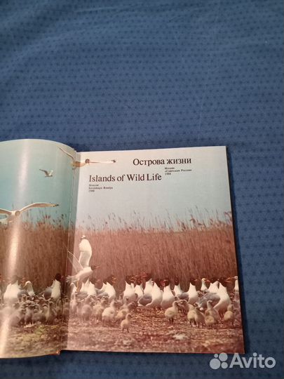 Книга о природе с иллюстрациями 