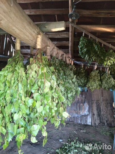 Веники для бани