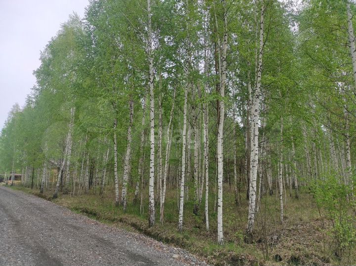 Участок 18,6 сот. (СНТ, ДНП)