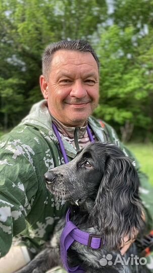 Любая работа, подработка