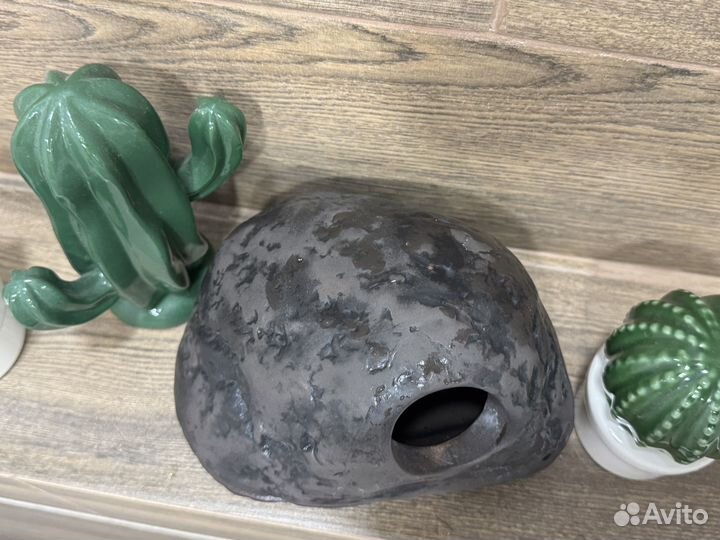 Влажная камера для эублефара керамическая