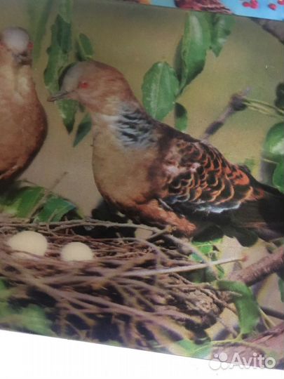 Советские открытки и календарики