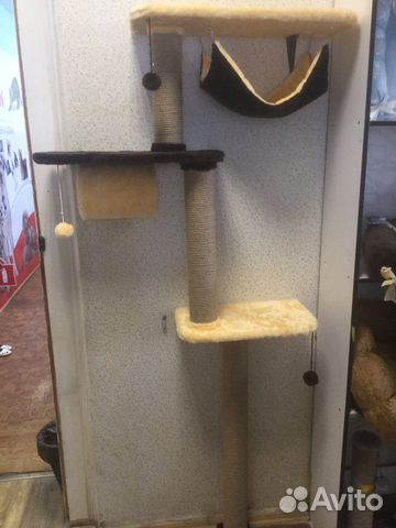 Комплексы настенные с когтеточками и полками