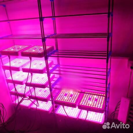 Фитолампа 300W Полный спектр