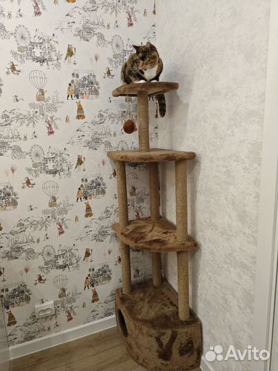 Домик-когтеточка для кошки