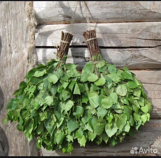 Веники для бани береза