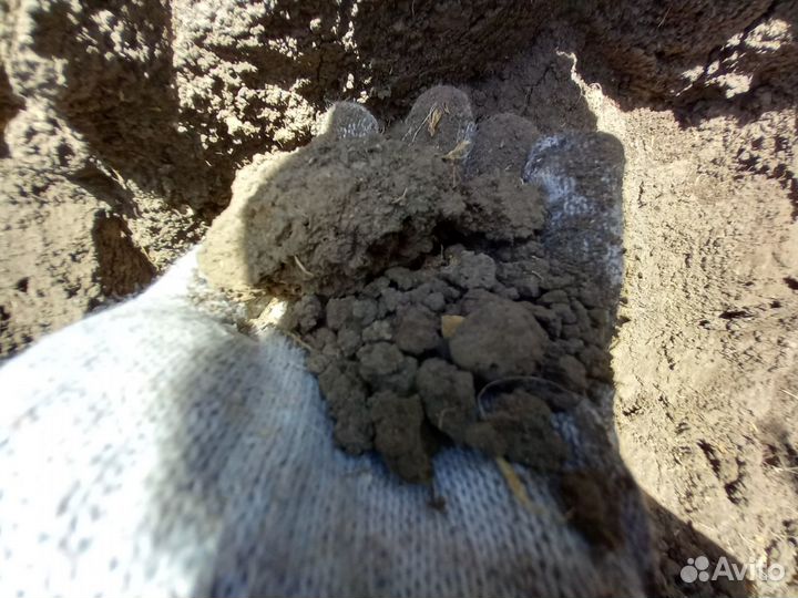 Перегной - Чернозем кач-во.35кг и насыпом до 30т