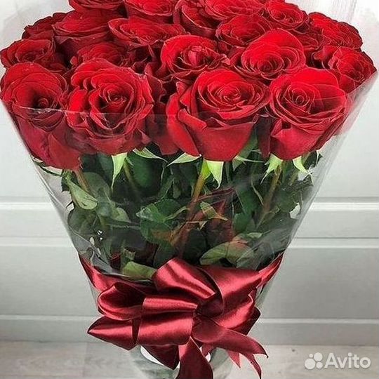 Розы гиганты 140 150 160 170 180 200