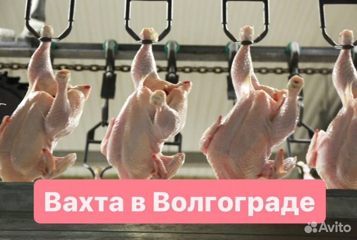 Вахта разнорабочим.Оплата проезда
