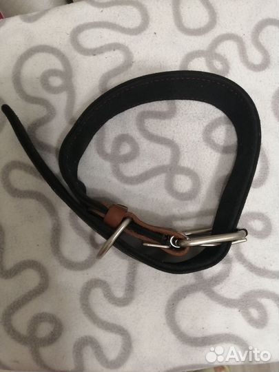 Ошейник для собак