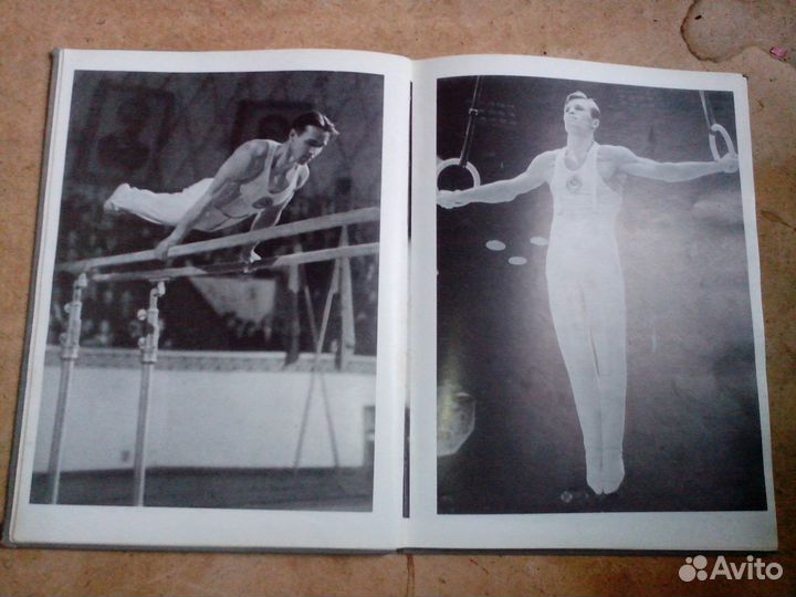 Книги Орфографический словарь, В мире прекрасного