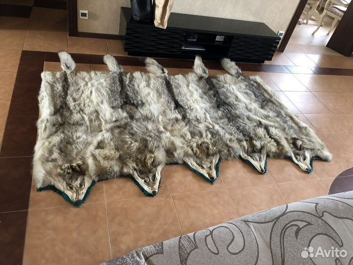 Шкура волка