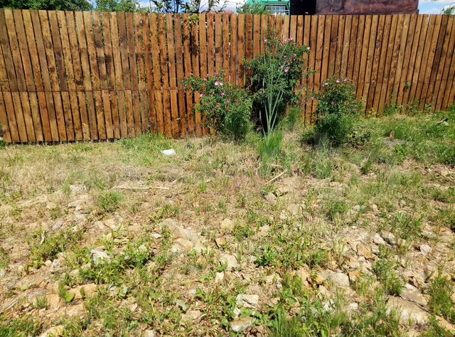 Участок 5 сот. (СНТ, ДНП)