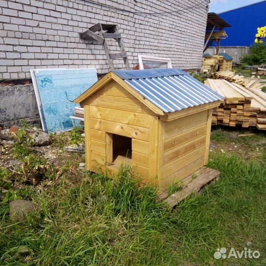 Будка (конура)