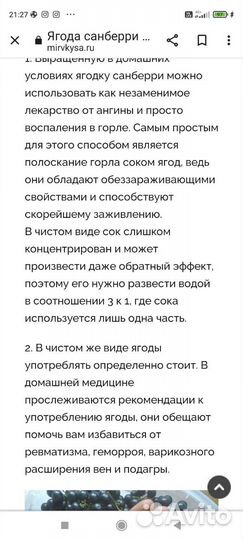 Продаю рассаду санберри- черника форте