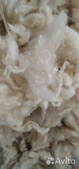 Шерсть овечья мытая