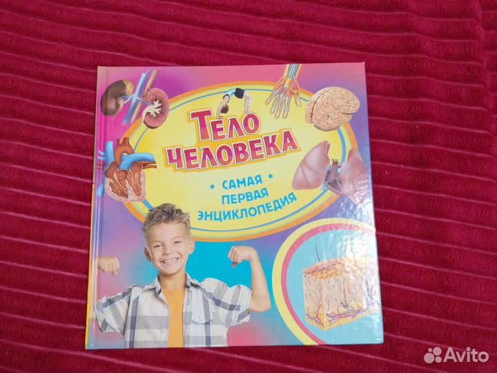 Энциклопедия. Тело человека