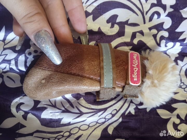 Зимняя обувь для собак