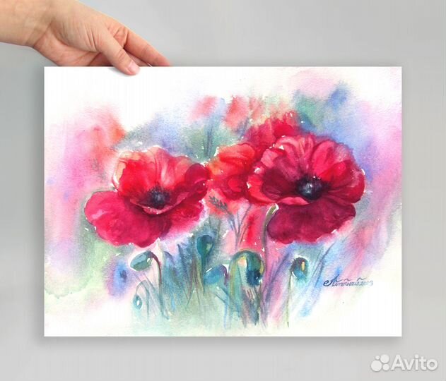Красные маки. Картина цветы акварелью. Крупные цве