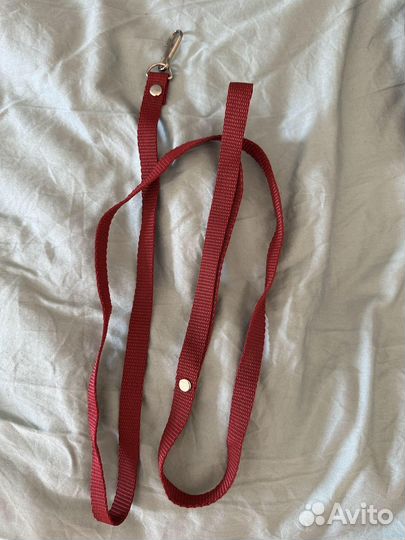 Поводки и ошейники для животных мини