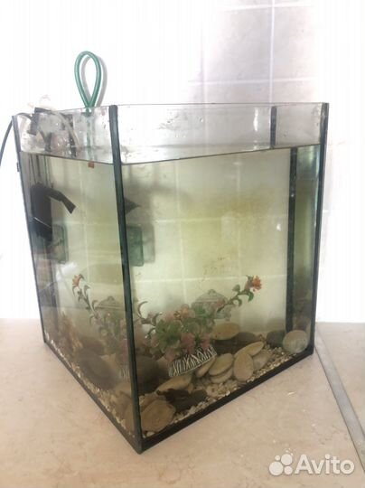 Аквариум с рыбками