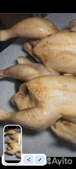 Мясо бройлера