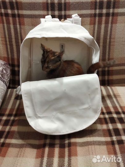 Рюкзак новый