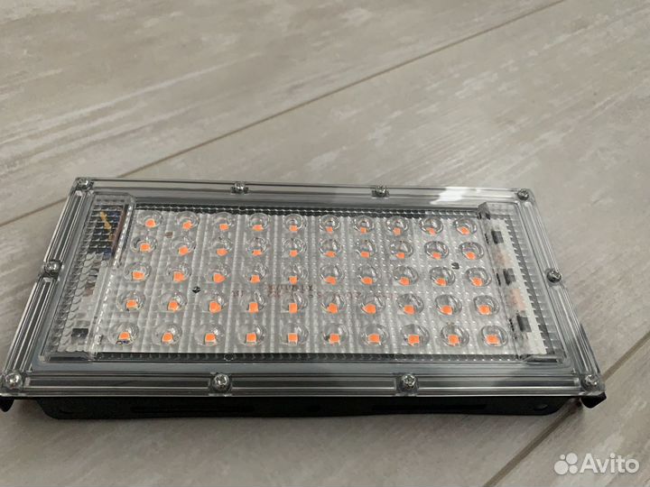 Фитолампы для рассады