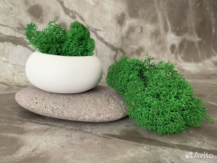 Кашпо с осокой/эвкалиптом/ягелем