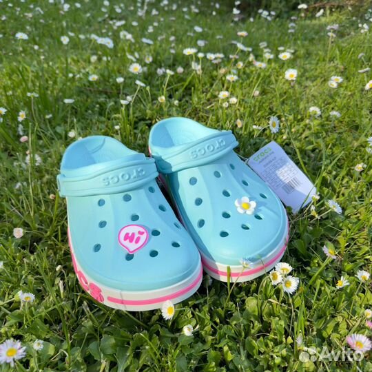 Шлепки сабо Crocs все женские размеры с подарком