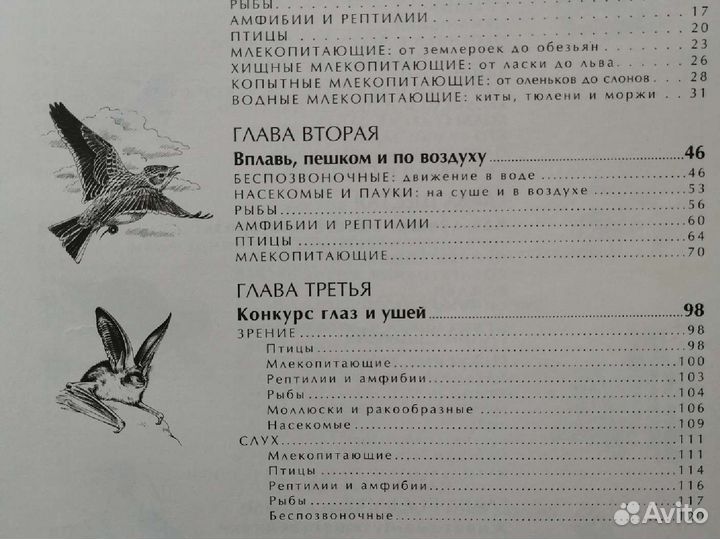 Энциклопедия 