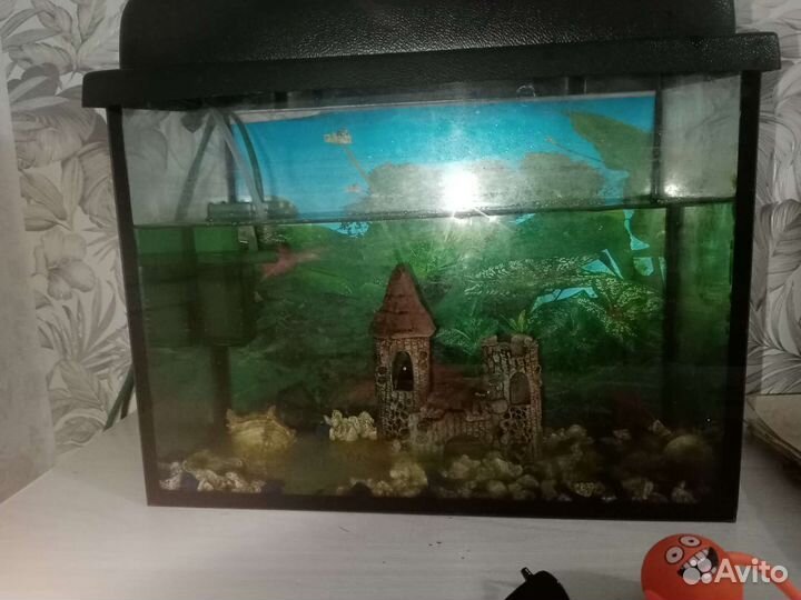 Аквариум